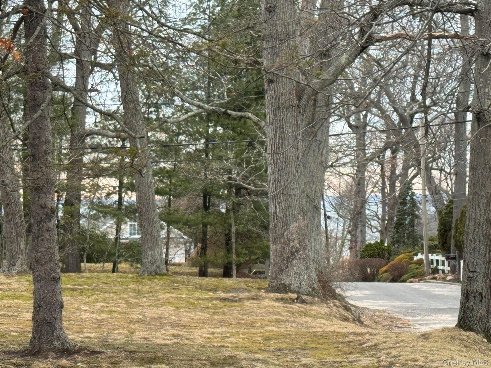 Property Photo:  Dogwood Drive  NY 11790 