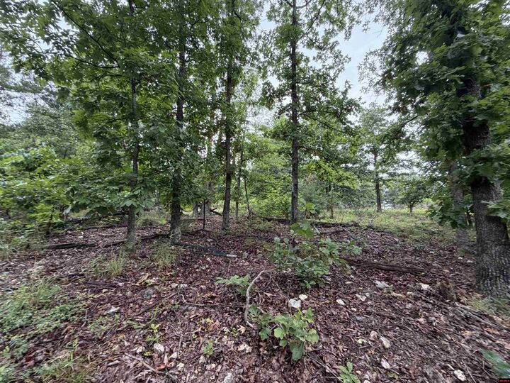 Property Photo: Off Of Morgan Cave Road AR 72601