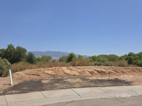 Property Photo:  330 E. First South #12  NV 89027 