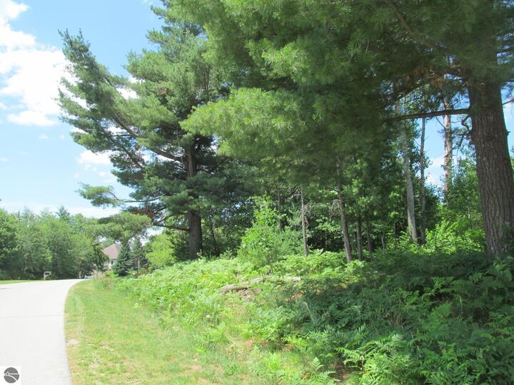 Property Photo: Lot 63 White Pine Drive MI 49601