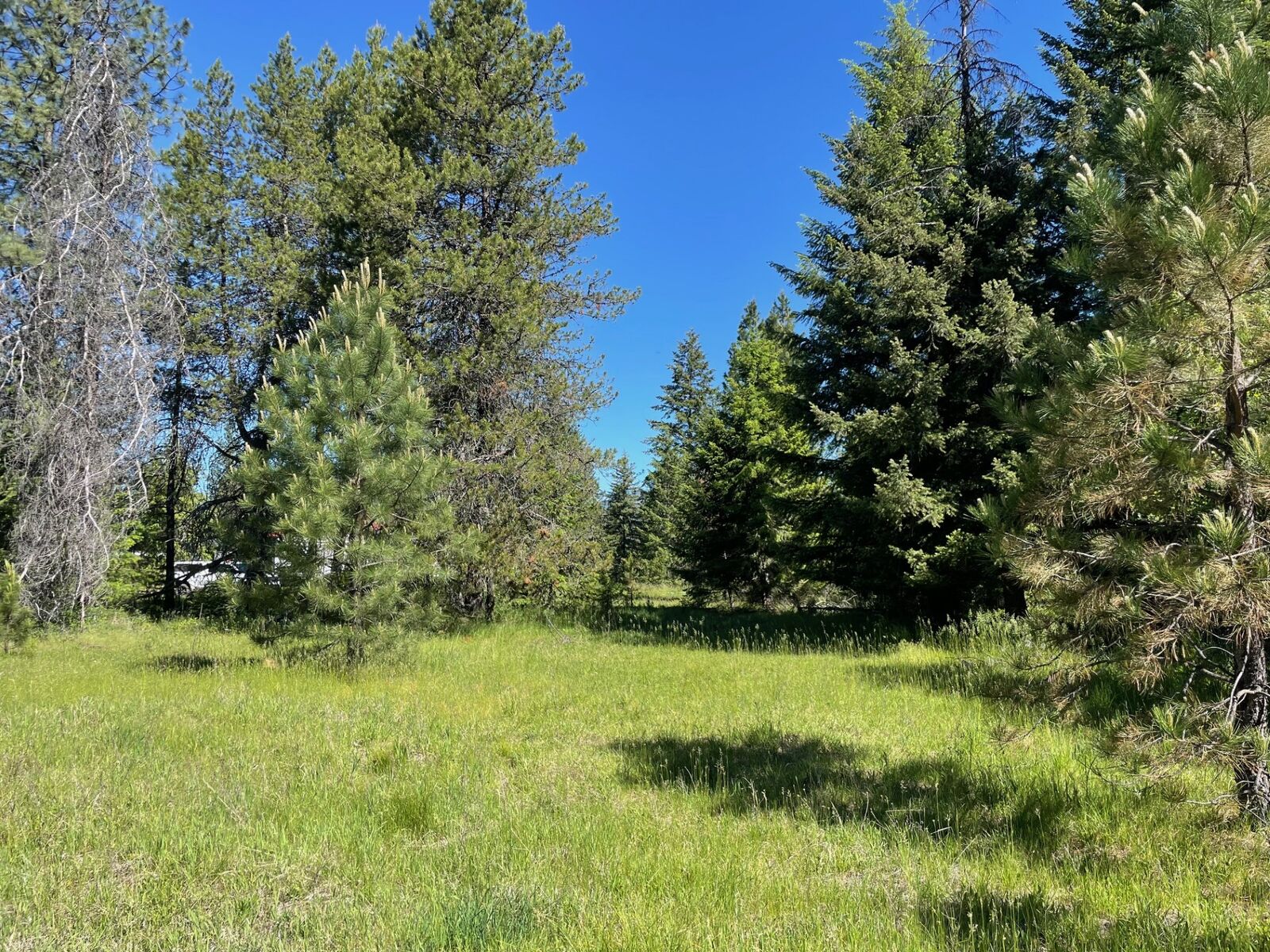 Property Photo:  Nhn S Shore Drive  MT 59874 