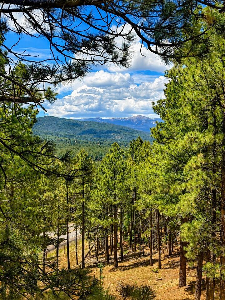 Property Photo:  10 Espinoza  NM 87710 