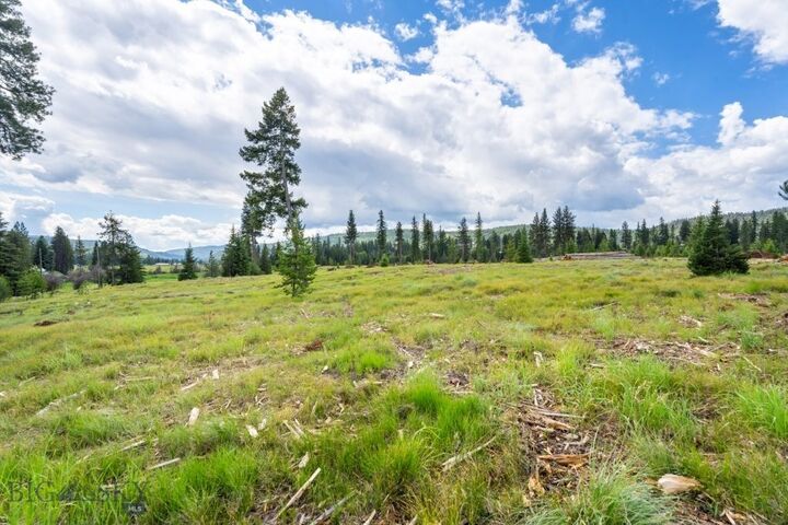 Property Photo:  281 Daisy Lane  MT 59868 