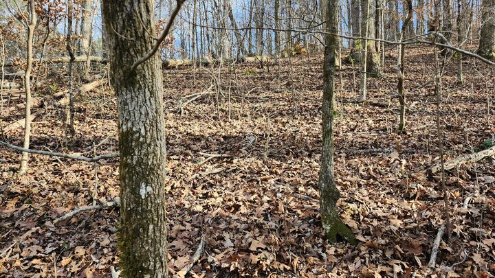 Property Photo:  0 Rector Road  TN 37347 