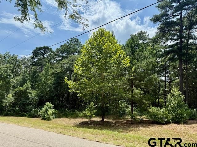 Property Photo:  16203 County Road 436  TX 75771 