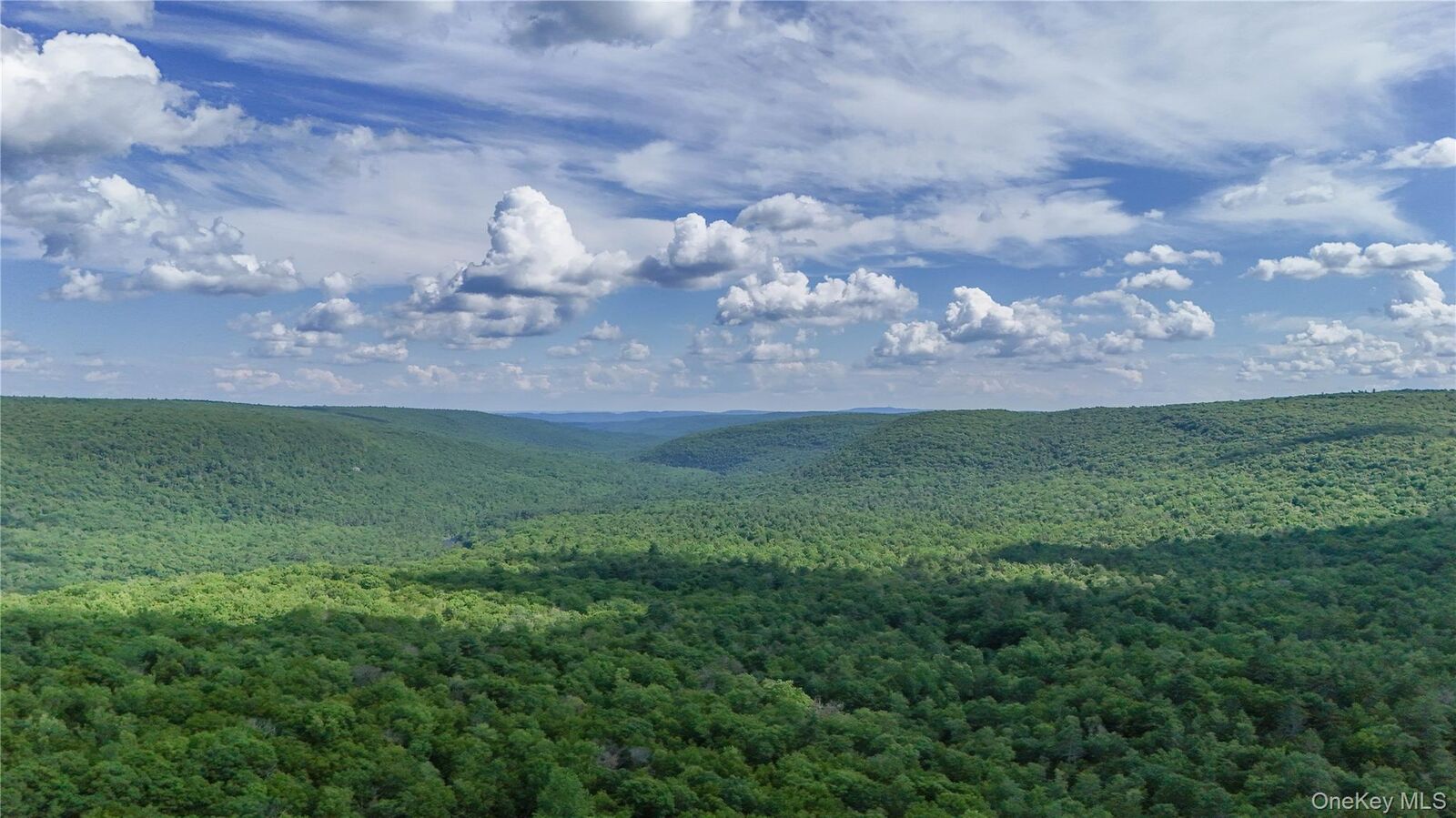 Property Photo:  242 Denton Falls Road  NY 12777 