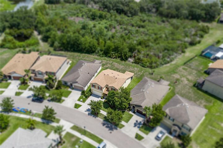 Property Photo:  9114 Mountain Magnolia Drive  FL 33578 