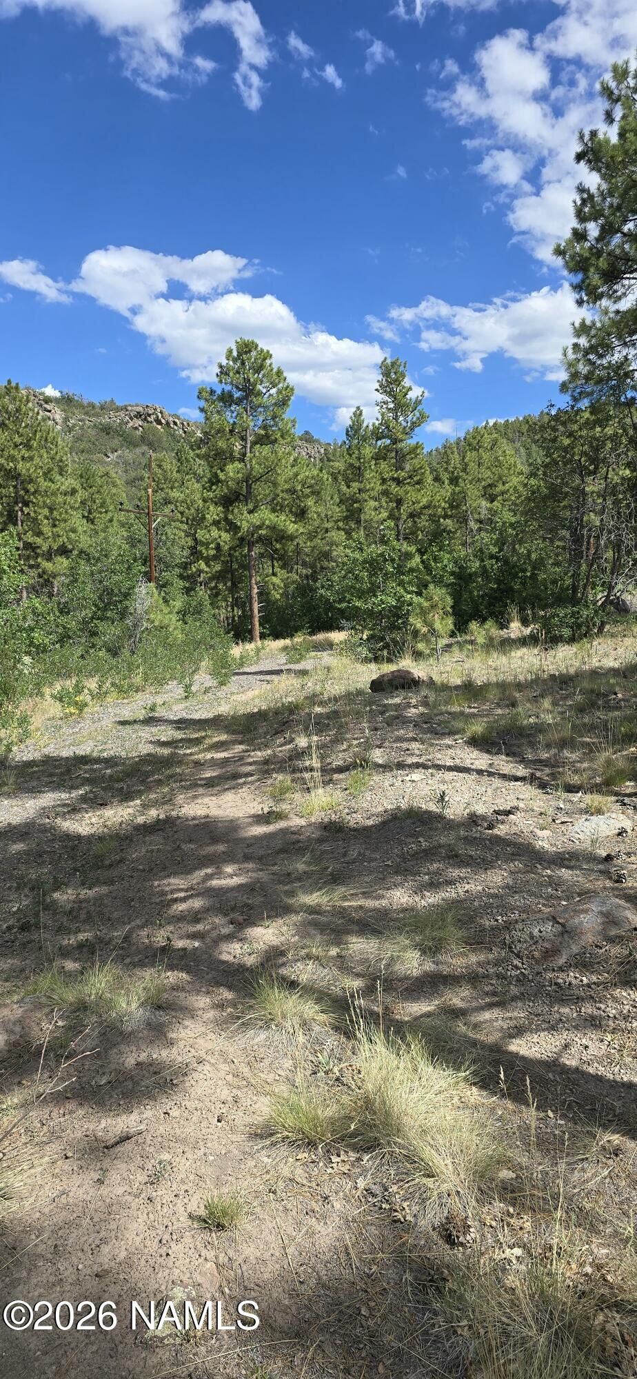 Property Photo:  00 No Name  AZ 86046 
