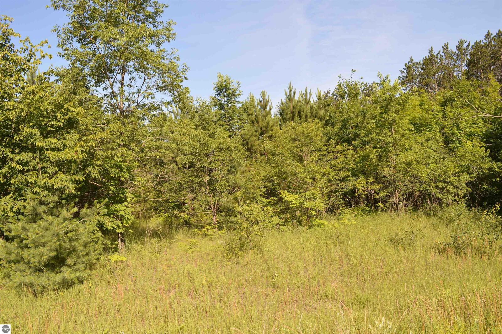 Property Photo: NE Holly Road MI 49646