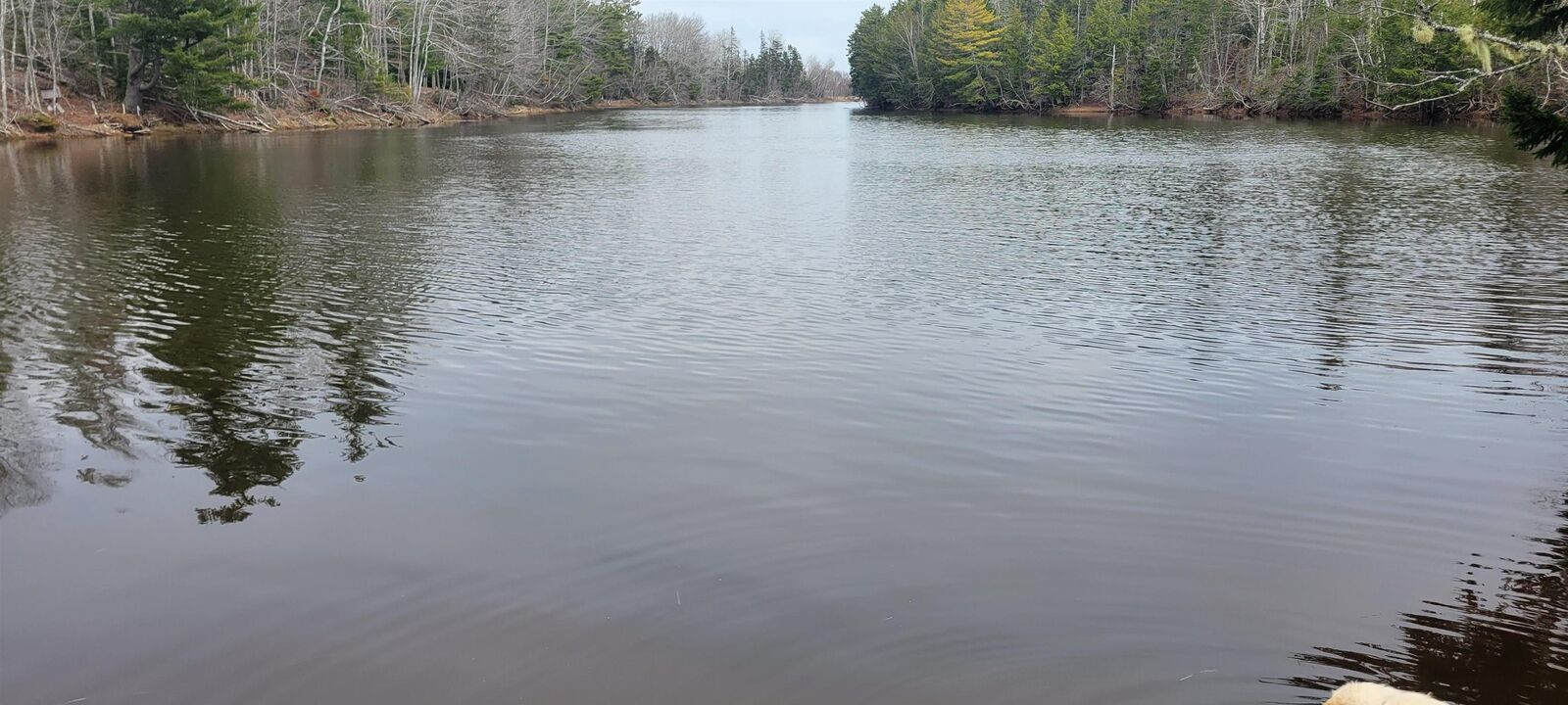 Property Photo:  Vi Kolbec Road  NS B0M 1P0 