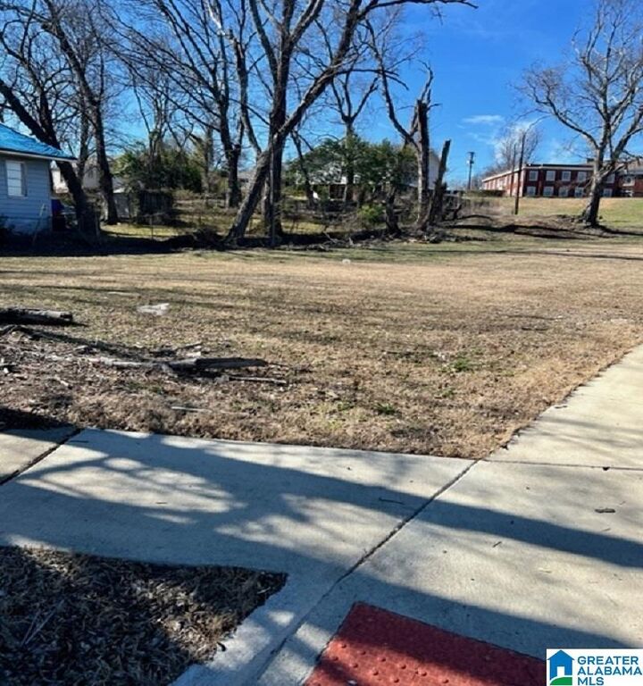 Property Photo: 1230 16th Street 000 AL 35204