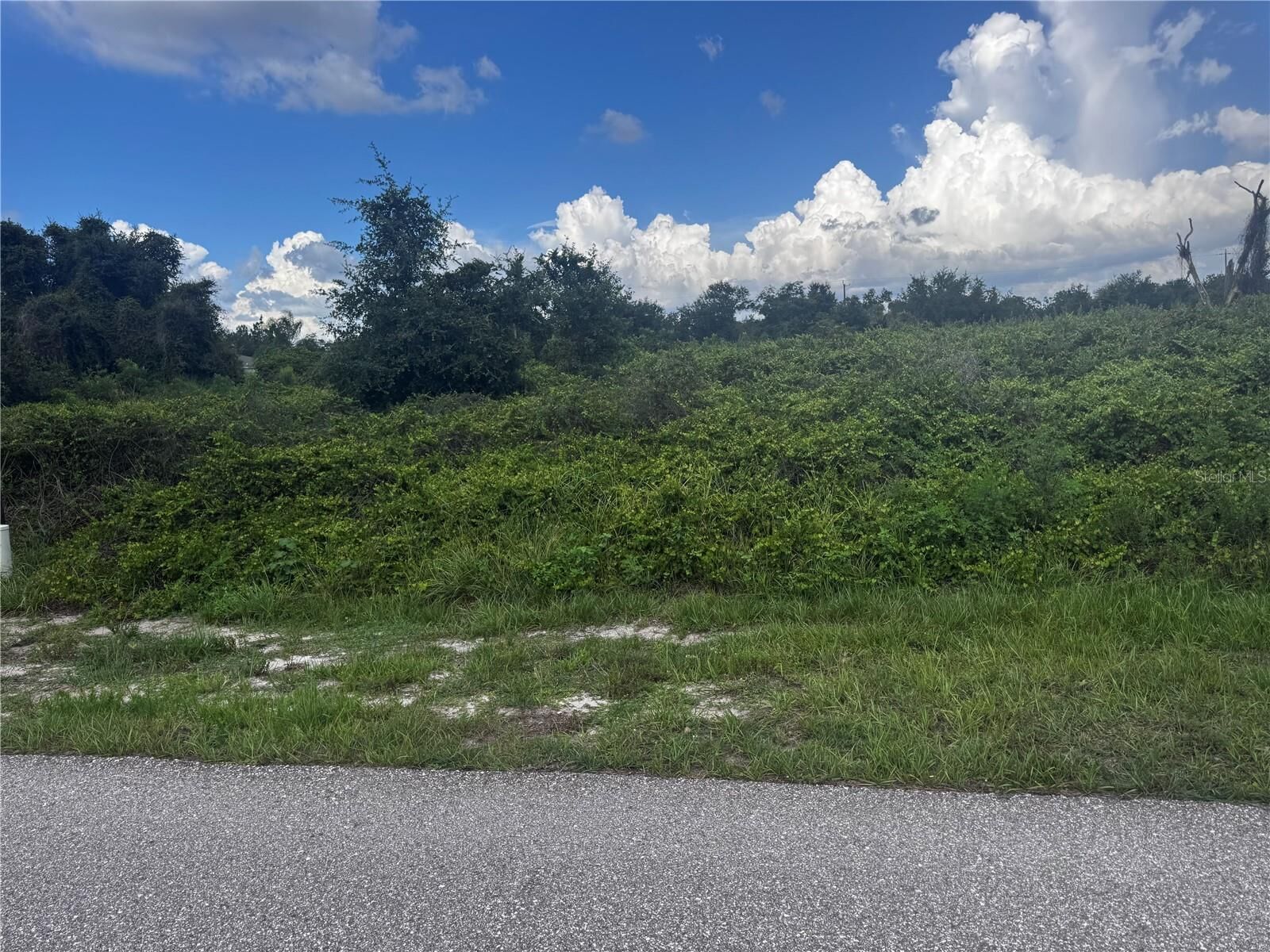 Property Photo:  100 Dahoon Boulevard  FL 33982 