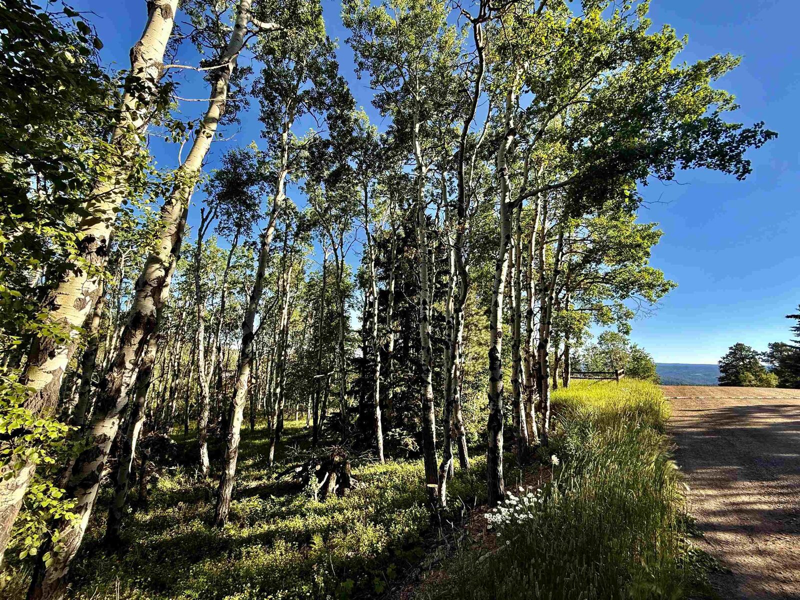 Property Photo: Lot 2 Blk1 Tr C Last Chance Trail SD 57754