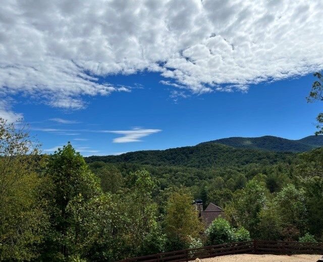 Property Photo:  108 Sky Dancer Ridge  GA 30513 
