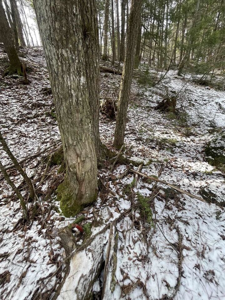 Property Photo: 000 Hinkley Brook Road VT 05146
