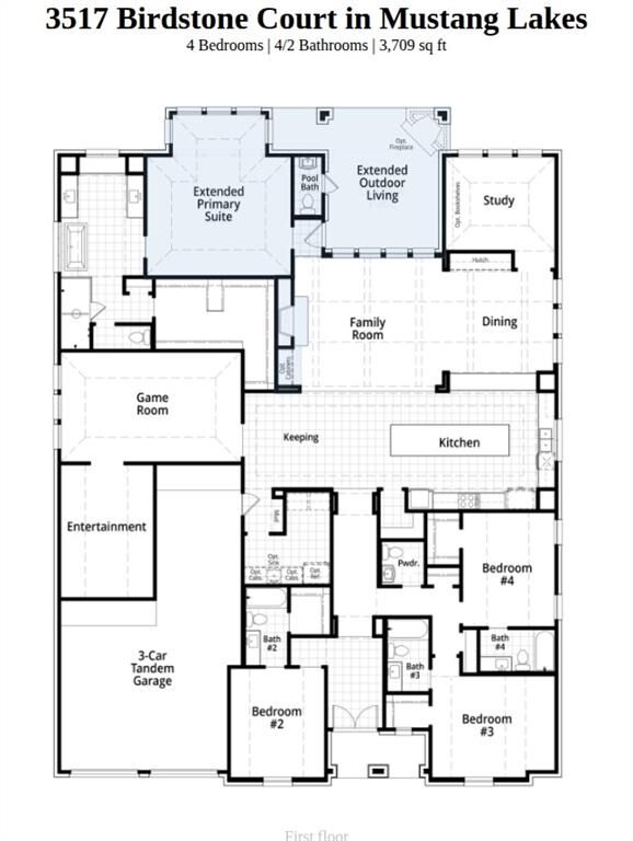 Property Photo: 3517 Birdstone Court TX 75009