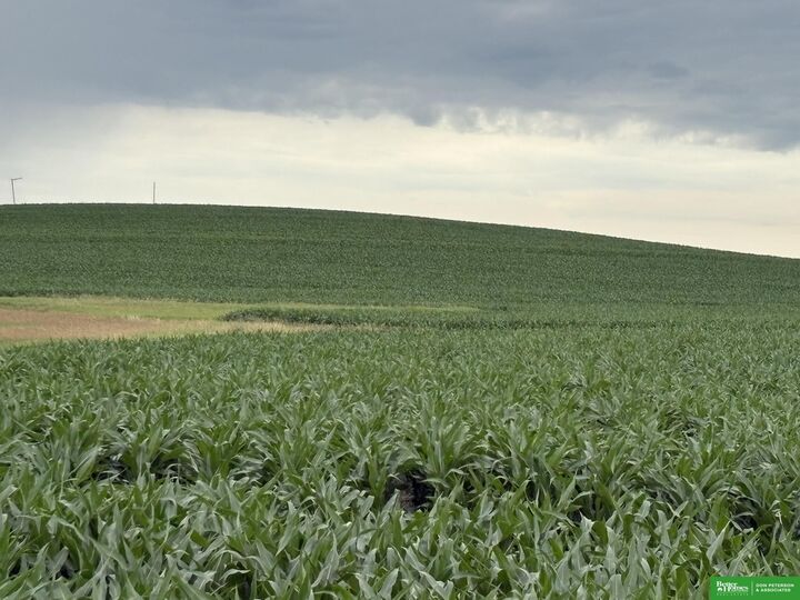 Property Photo:  88 Acres County Road  NE 68019 