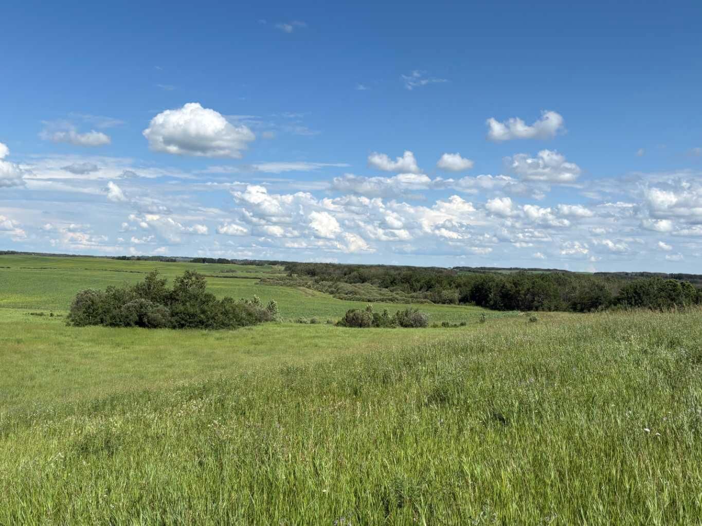 Property Photo: Rural SK S0M 1K0