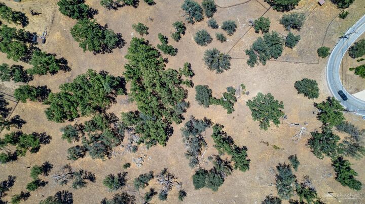 Property Photo:  24590 Deertrail Drive  CA 93561 