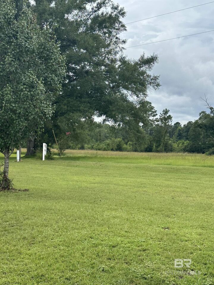 Property Photo:  52671 Martin Hadley Lane  AL 36562 