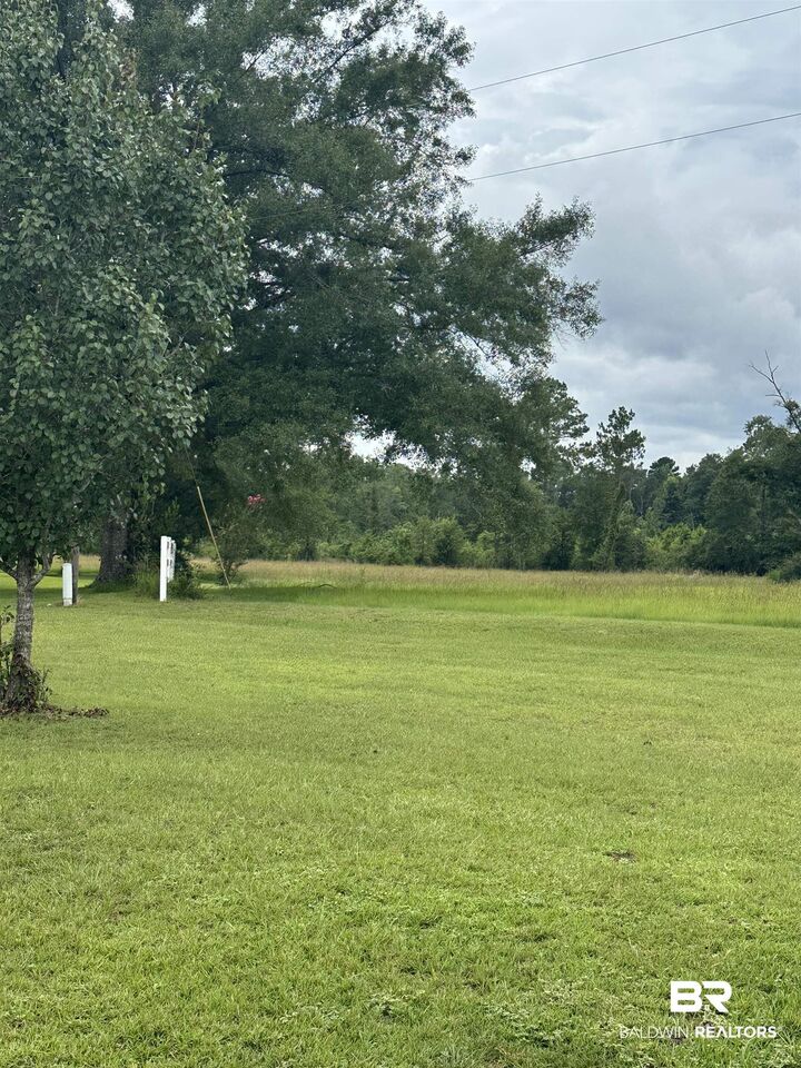 Property Photo:  52671 Martin Hadley Lane  AL 36562 