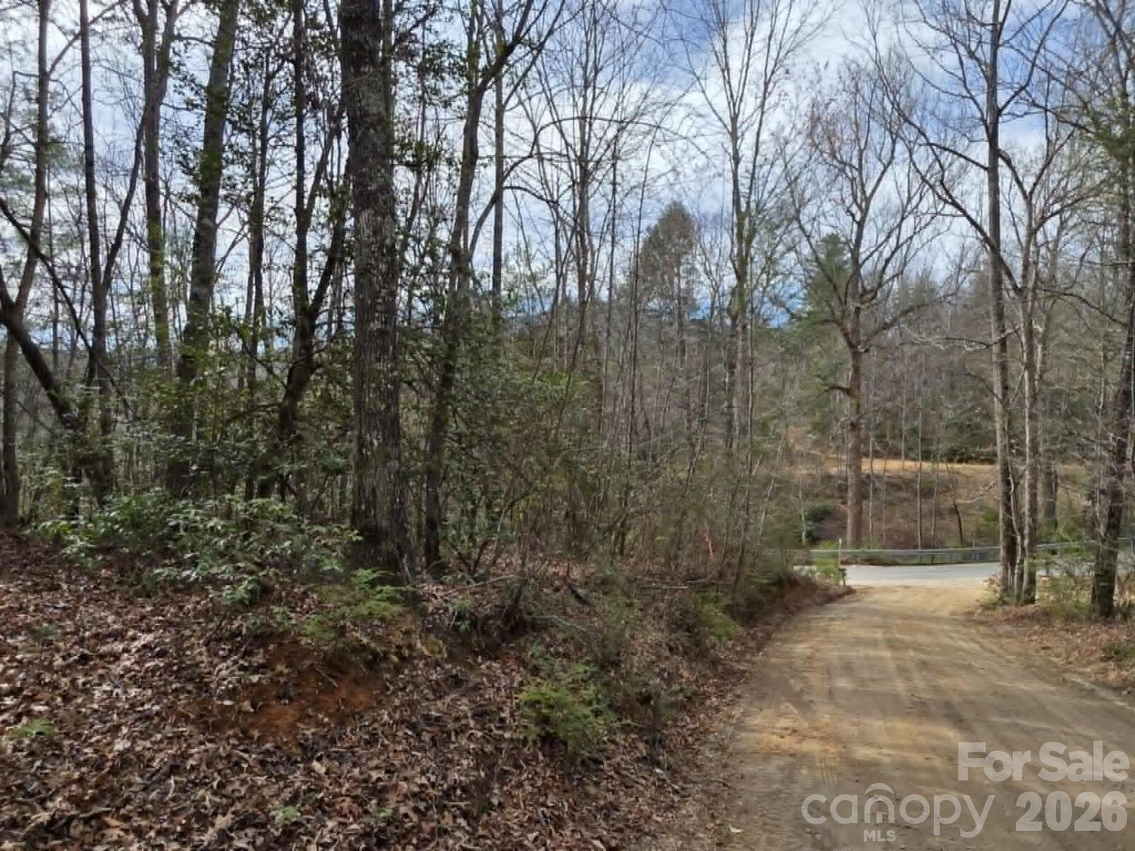 Property Photo: Lot 1 Kerlee Lane NC 28762