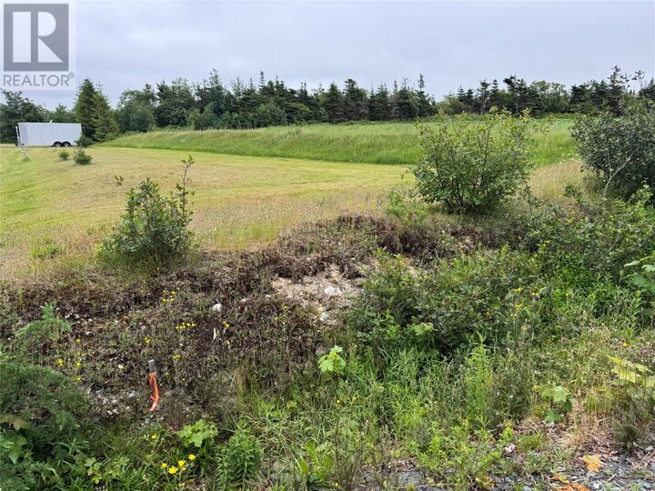 Property Photo:  17 Middle Ridge  NL A1X 6B4 