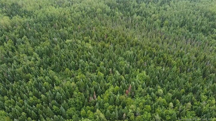 Property Photo:  Off Drurys Cove Road  NB E4E 3K9 