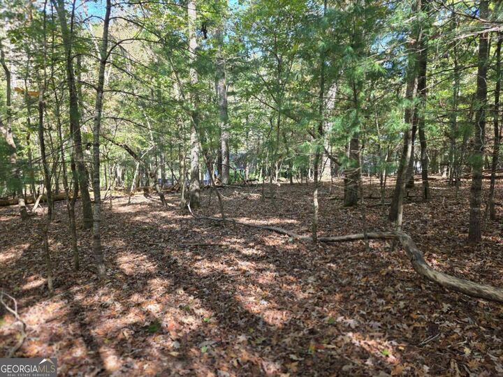 Property Photo: Lot #385 Zenith Trail 385 GA 30540