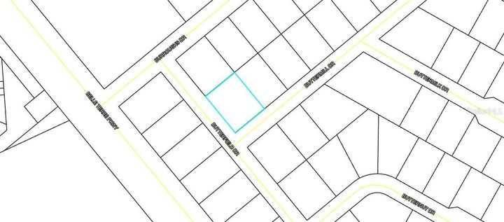 Property Photo: 70 Buttermill Drive FL 32137