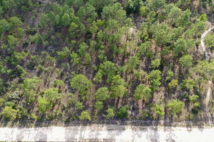 Property Photo: 0000 NE 132 Terrace Lot 2 Terrace FL 32696
