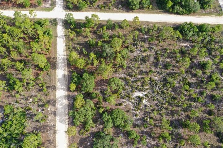 Property Photo: 0000 NE 132 Terrace Lot 5 Terrace FL 32696