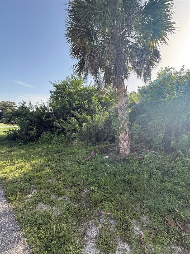 Property Photo:  2071 Carpetgreen Street  FL 33948 