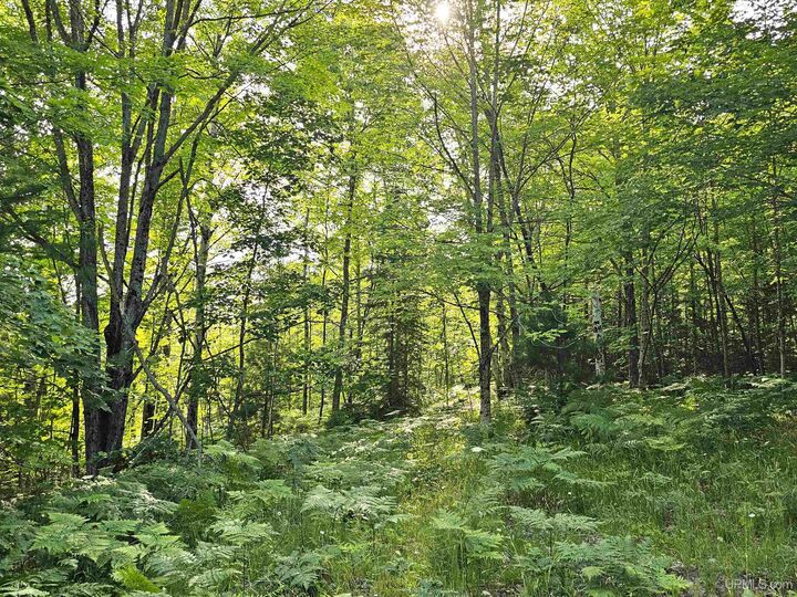 Property Photo:  Tbd Parcel M10 Applewood Drive  MI 49931 