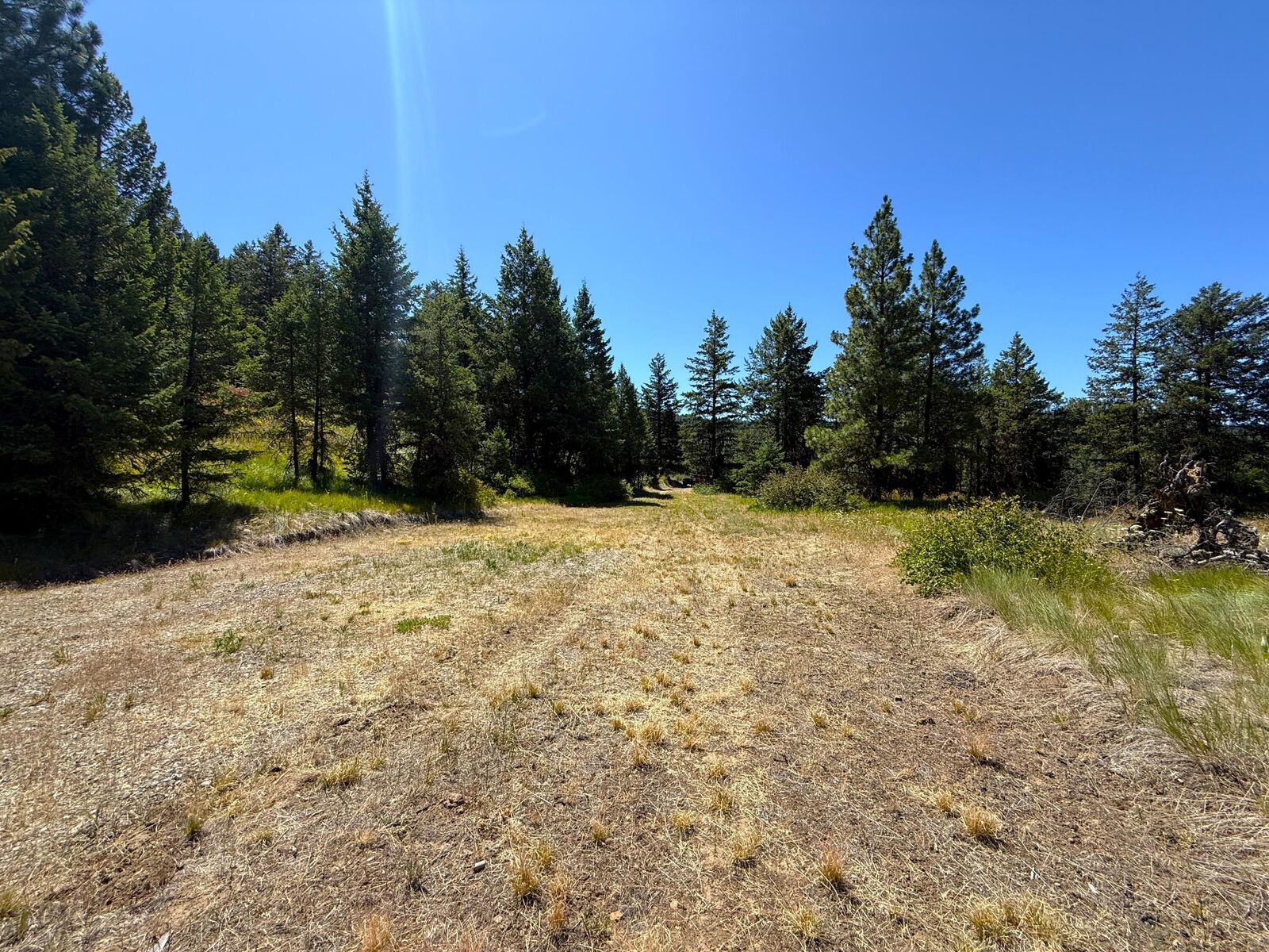 Property Photo:  135 Slippery Hill Ln  WA 99166 