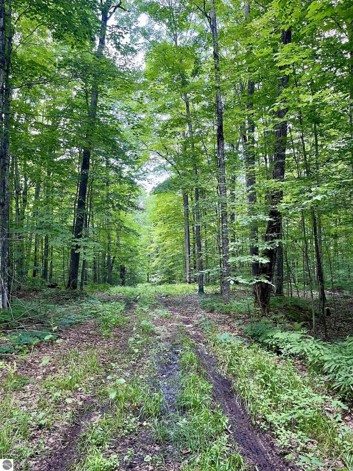 Property Photo: Mary Dale Lane MI 49659