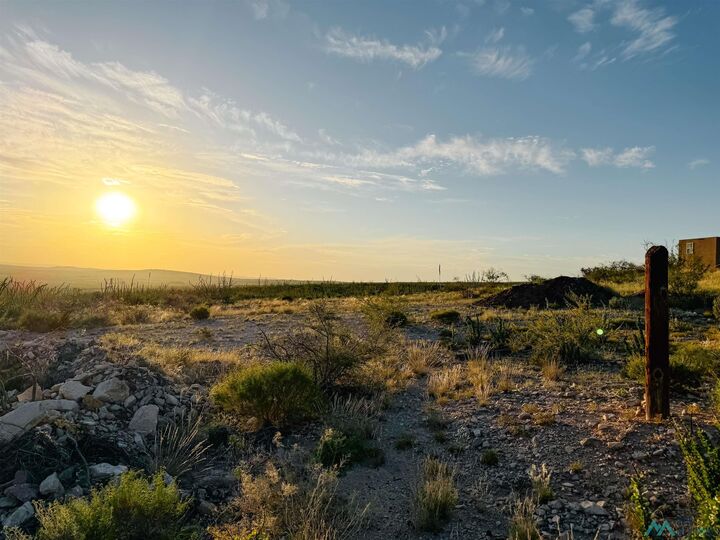 Property Photo:  913 Miehls Drive  NM 88220 