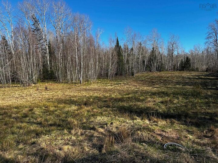 Highway 236 — photo 1