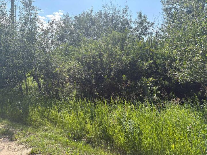 Property Photo: 50528 Range Road 144 AB T0B 2G0