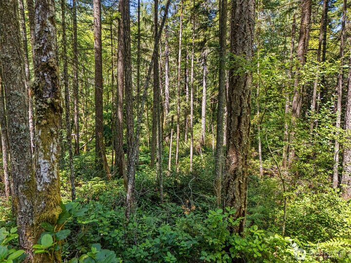 Property Photo:  0 Sp1355 E Glenwood Drive  WA 98592 
