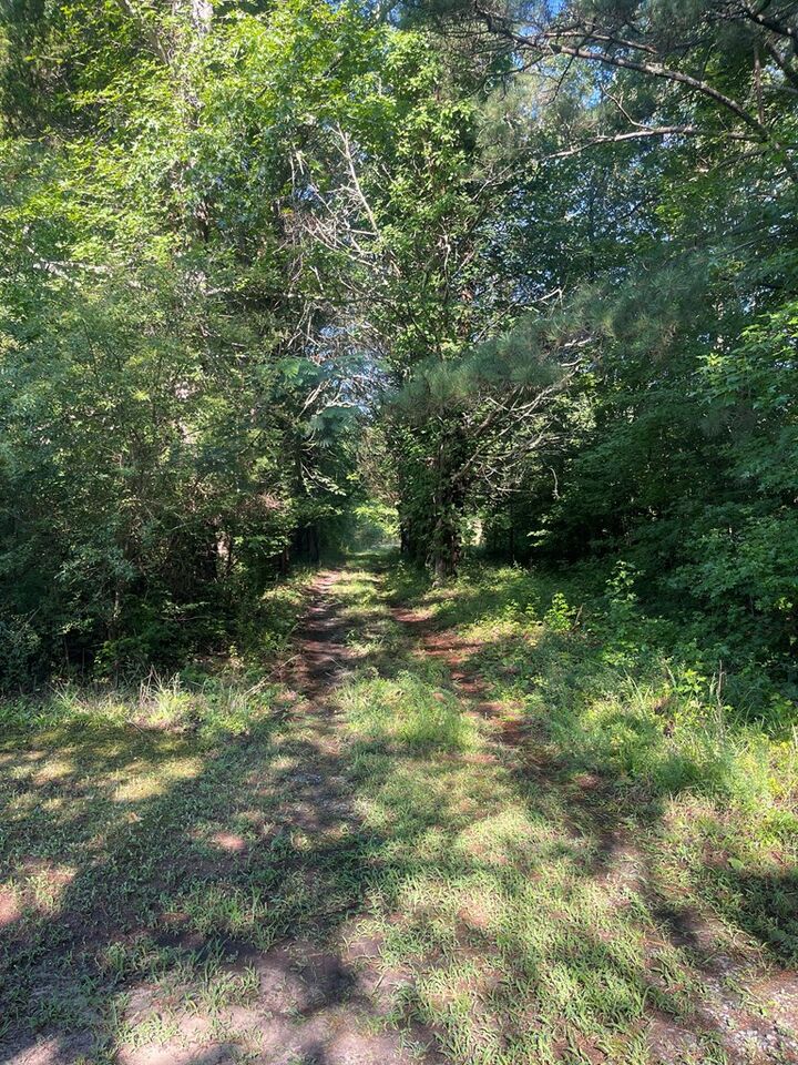 Property Photo:  Green Hill Rd  VA 23824 