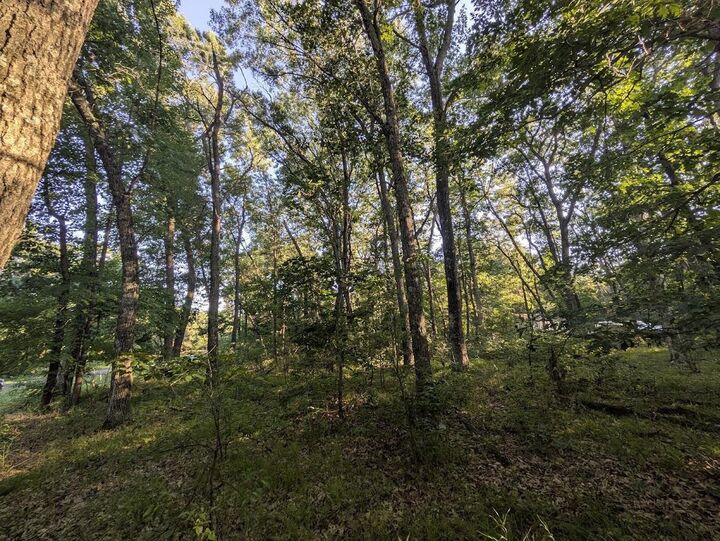 Property Photo: 0 6th Avenue WI 53936