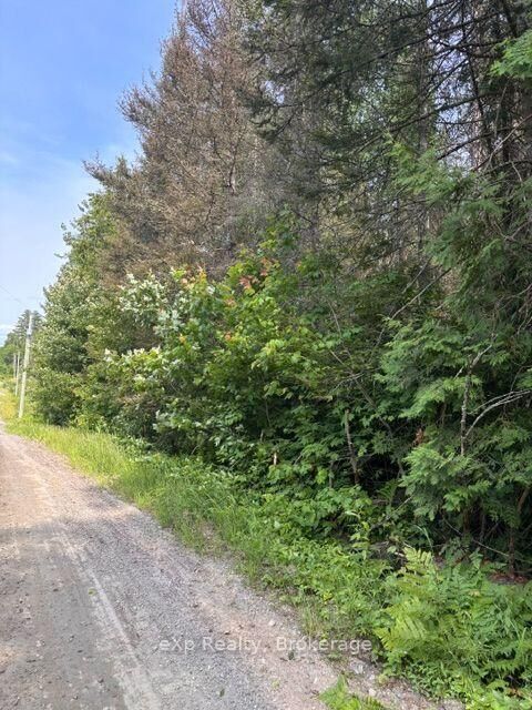 1A Pt Lt 12 Con 2 Boundary Road — photo 1