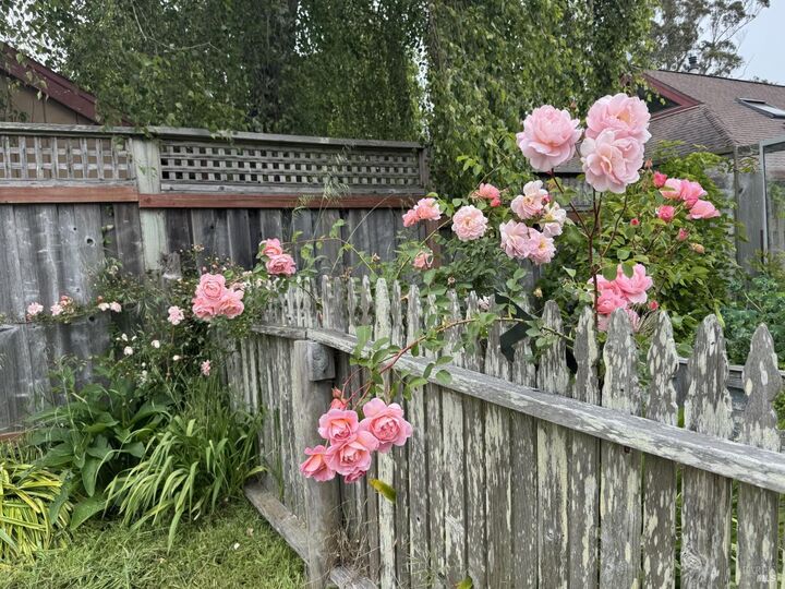 Property Photo: 39 Carrie Street CA 94971