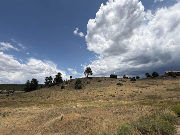 Property Photo: 893 Loma Linda Drive CO 81147