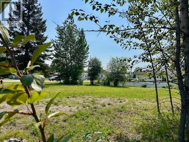 Property Photo:  5331 42 Street  BC V0C 1R0 