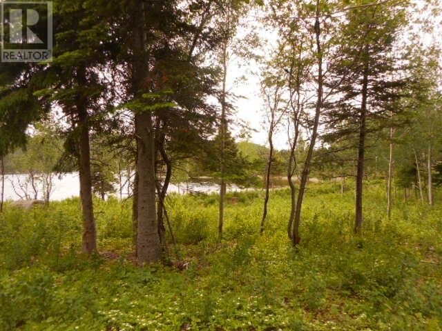 Property Photo:  00 Salt Pond Road  NL A0J 1T0 
