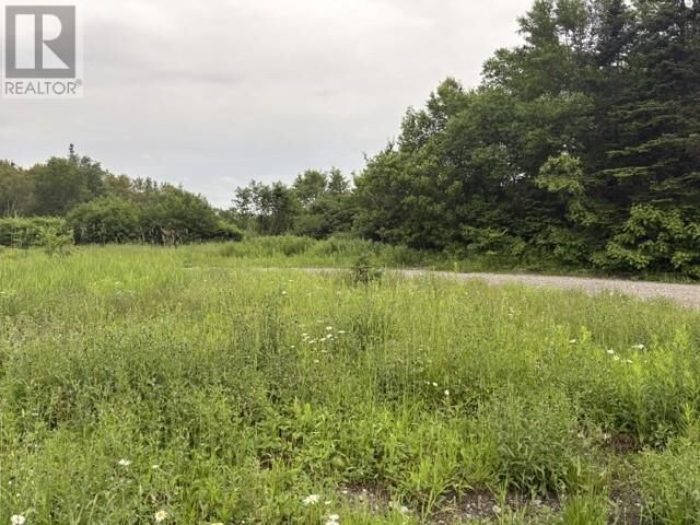 Property Photo:  0 Wheeler's Road  NL A2N 1S0 
