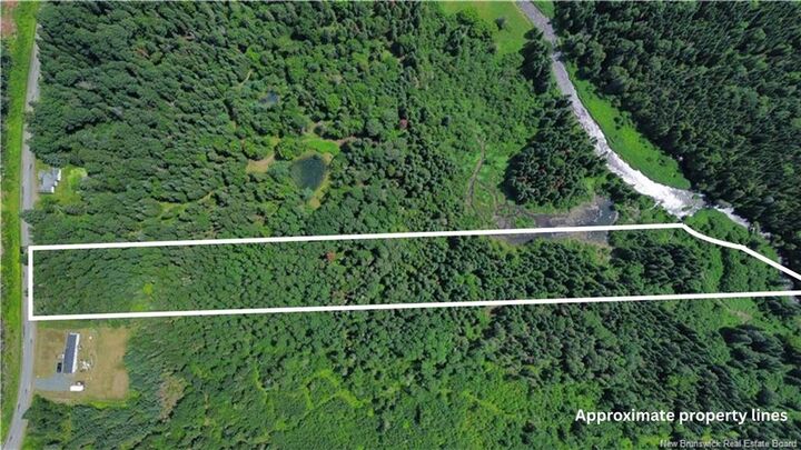 Property Photo:  Vacant Land Black Brook Road  NB E7L 1R7 