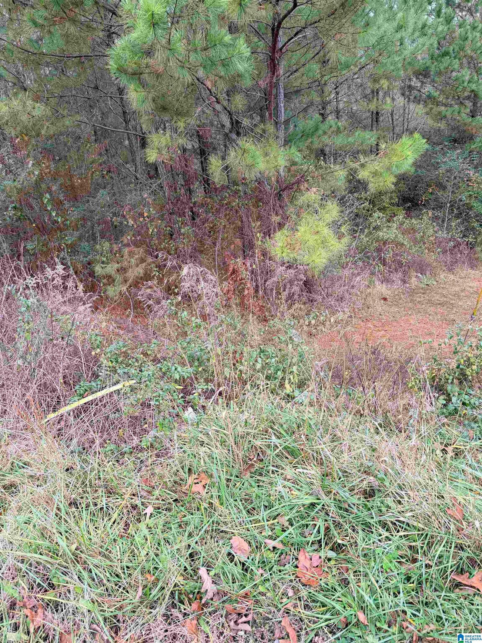 Property Photo:  0 Armstrong Loop 0  AL 35079 